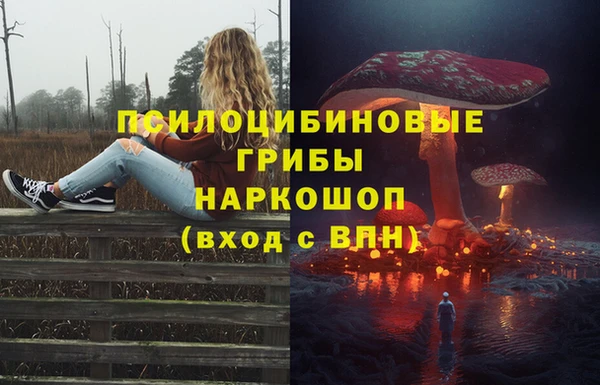 ПСИЛОЦИБИНОВЫЕ ГРИБЫ Белоозёрский